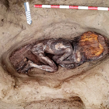 Rica, conservando el pelo y envuelta en un manto de plumas: encuentran en Perú la momia más antigua de Ámérica