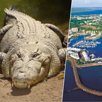 Moraria lá? Darwin é uma cidade australiana com 250 mil habitantes; 100 mil deles são crocodilos 