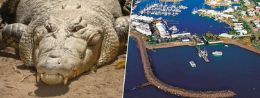 Moraria lá? Darwin é uma cidade australiana com 250 mil habitantes; 100 mil deles são crocodilos 