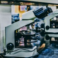 Este ranking muestra cuáles son los científicos que más vidas han salvado con sus descubrimientos