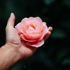 Foto 14 de 15 de la galería fondos-de-flores en Xataka Android