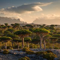 Esta ilha, reconhecida como patrimônio Mundial pela UNESCO, parece um planeta alienígena 