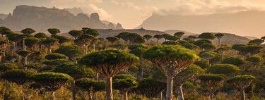 Esta ilha, reconhecida como patrimônio Mundial pela UNESCO, parece um planeta alienígena 