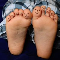 Trabajar desde casa y ser productivo 