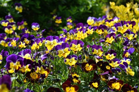 Photo 1748007451001 C0bc9a40b6cc