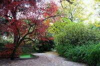 Los parques que podemos recorrer con la familia por Madrid en otoño