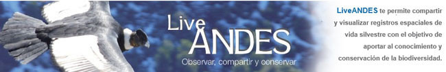 LiveAndes