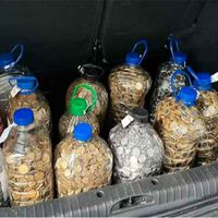 Se presenta en el concesionario con 13 garrafas hasta arriba de monedas para pagar su nuevo capricho y los empleados pasan 36 horas contando dinero 