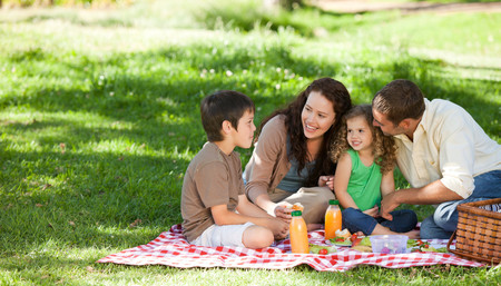 13 recetas refrescantes y sencillas de preparar para disfrutar de un picnic al aire libre