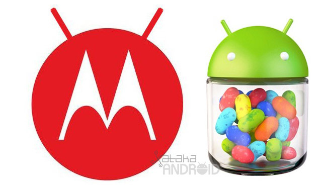 Motorola Android Jelly Bean