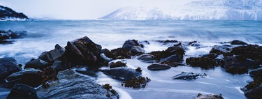 Noruega, el país que da lecciones sobre ecología, es el primero que aprueba la minería de fondo marino que puede destruir los océanos 