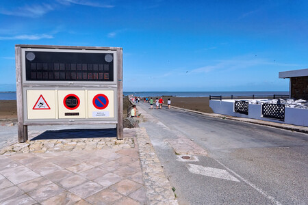 Paso Del Gois Cartel