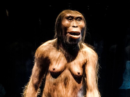 Australopithecus Deyiremeda 6