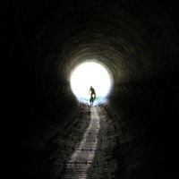 De la necesidad, a emprender sí o sí 