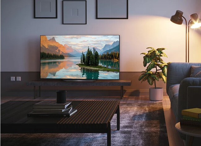 Lg Oled B6