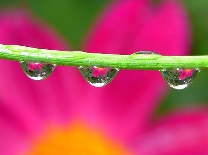 Fotografía en días de lluvia