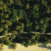 La nueva miniserie de Netflix arrasa en las listas de popularidad: Comienzas y termina en una sola tarde