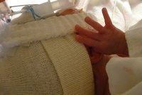 El futuro de los grandes prematuros