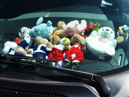 Peluches en el coche
