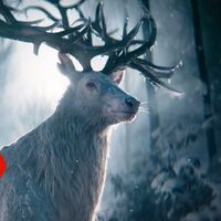 Esta popular serie de fantasía estaba completamente perdida: ahora Netflix envía una inesperada señal de vida para Sombra y Hueso 