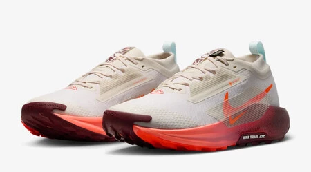 Nike Pegasus Trail 5 Gore Tex