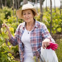 Dos agricultoras rechazan 22 millones de euros a cambio de vender sus tierras para construir un centro de datos: "no significan nada" 