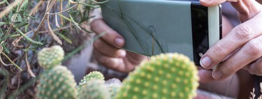 Google despide al Pixel 6a para dejarnos una oferta irresistible del Pixel 7a y una evidencia de lo que se viene