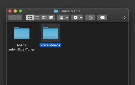 Carpeta Notas De Voz Macos