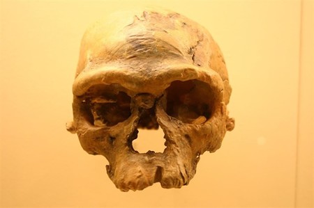 Nuestra especie es mucho más antigua de lo que creíamos (y nació en Marruecos)