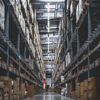 ¿Qué es la Elasticidad de la Demanda?