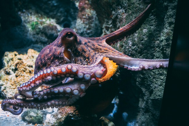Diane Picchiottino Dw0gfo Uu8 Unsplash
