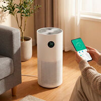 Qué cosas hay que mirar antes de comprar un purificador de Xiaomi: estas son todas las claves que no debes dejar pasar 