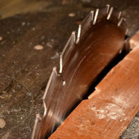 El 1º de Mayo también es la fiesta de los autónomos 