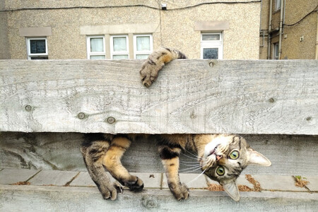 Malgorzata Russell Why Are You Upside Down Mum 00000608