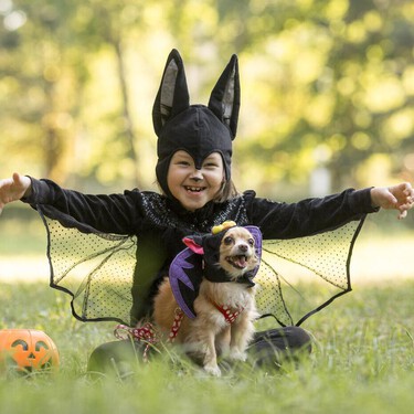 Halloween en Lidl: acaban de llegar los disfraces para perros más terroríficos 