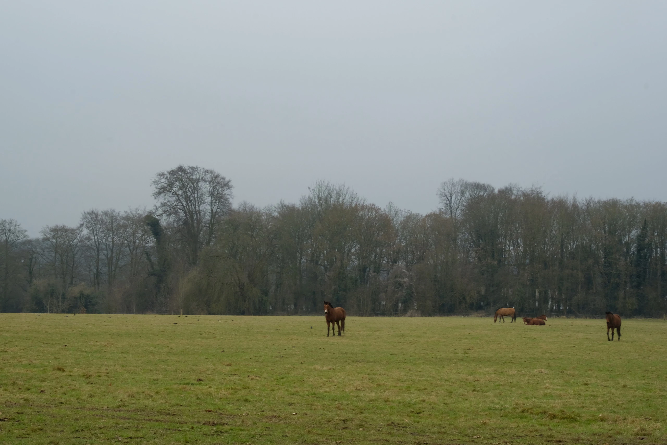 Fujifilm X-T2 (12 fotos)