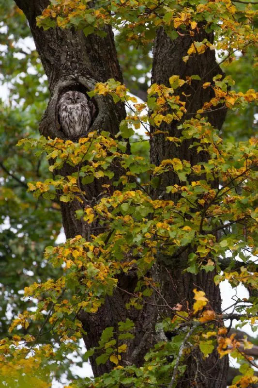 Foto de Hasta 14 (1/6)