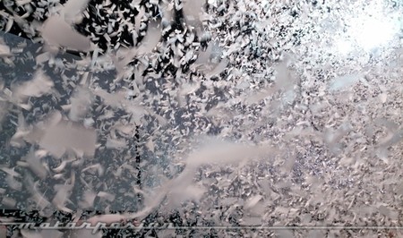 Renault Kadjar Presentacion 650 03