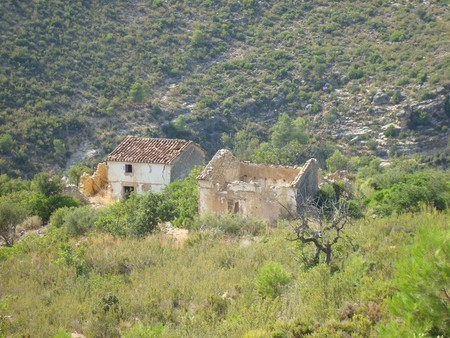 Romana