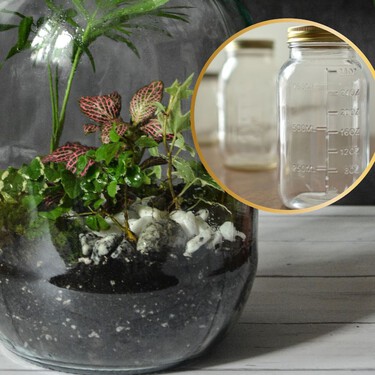 Dales una segunda vida a tus frascos de vidrio: crea un terrario bonito para decorar cualquier rincón de tu casa 