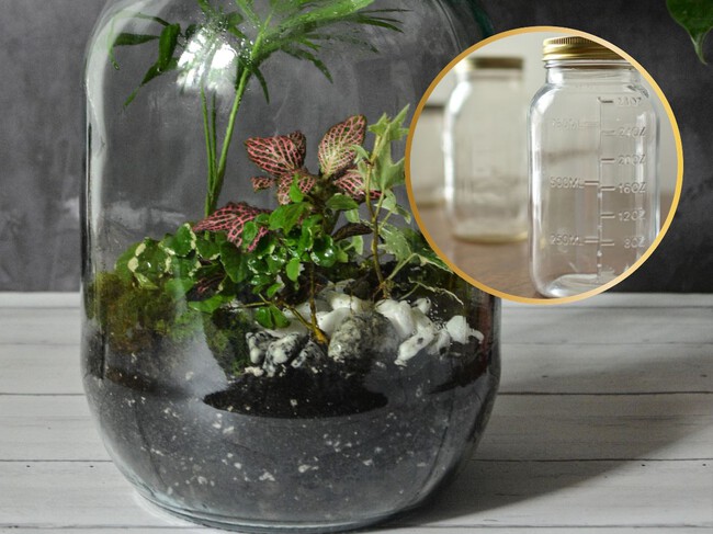 Dales una segunda vida a tus frascos de vidrio: crea un terrario bonito para decorar cualquier rincón de tu casa