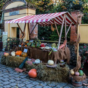 Gijón da una lección a quienes celebran Halloween con su Samaín: una fiesta milenaria con maíz, castañas, sidra, palomitas y concurso de calabazas 
