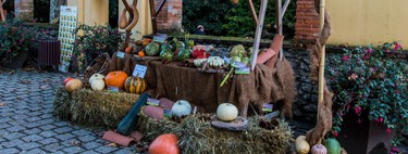 Gijón da una lección a quienes celebran Halloween con su Samaín: una fiesta milenaria con maíz, castañas, sidra, palomitas y concurso de calabazas 