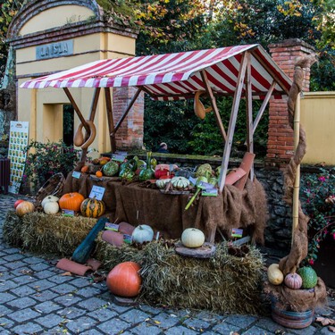 Gijón da una lección a quienes celebran Halloween con su Samaín: una fiesta milenaria con maíz, castañas, sidra, palomitas y concurso de calabazas 