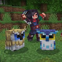 El DLC más usado de Minecraft añade búhos, pero también un crafteo que cambia el juego 