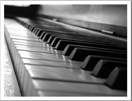 El brutal sacrificio de elefantes para construir pianos