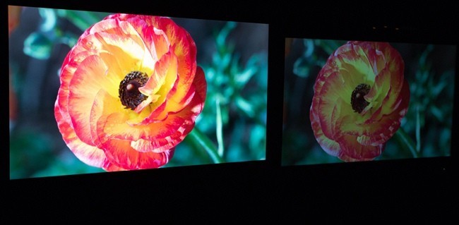 Dolby Vision