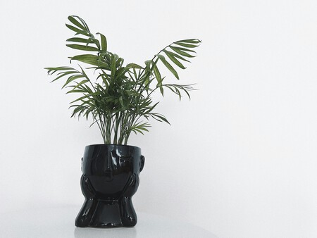 Pexels Jennie Ra 531352065 16599777