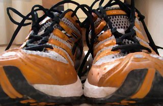 ¿Cuántos kilómetros duran unas zapatillas?