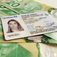 Trámites más caros para malos conductores y costos bajos para conductores sin faltas: así es la reforma que acaban de implementar en Canadá. ¿Funcionaría en México?